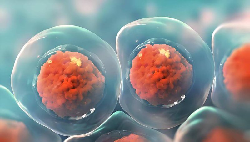 生物技术研发：开启未来医疗新纪元